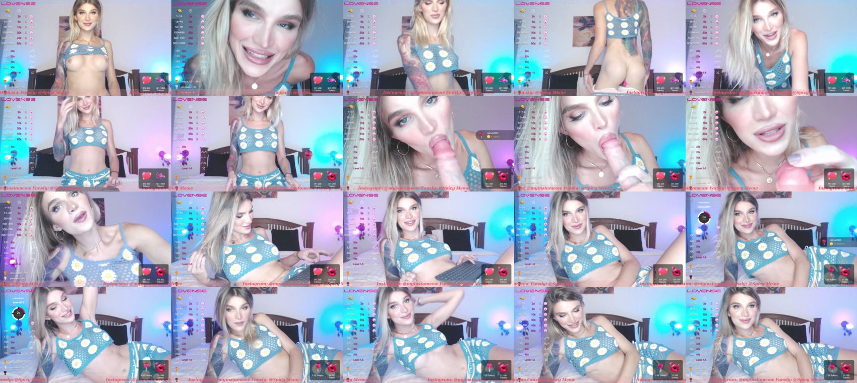 spicy_meow  23-09-2022
